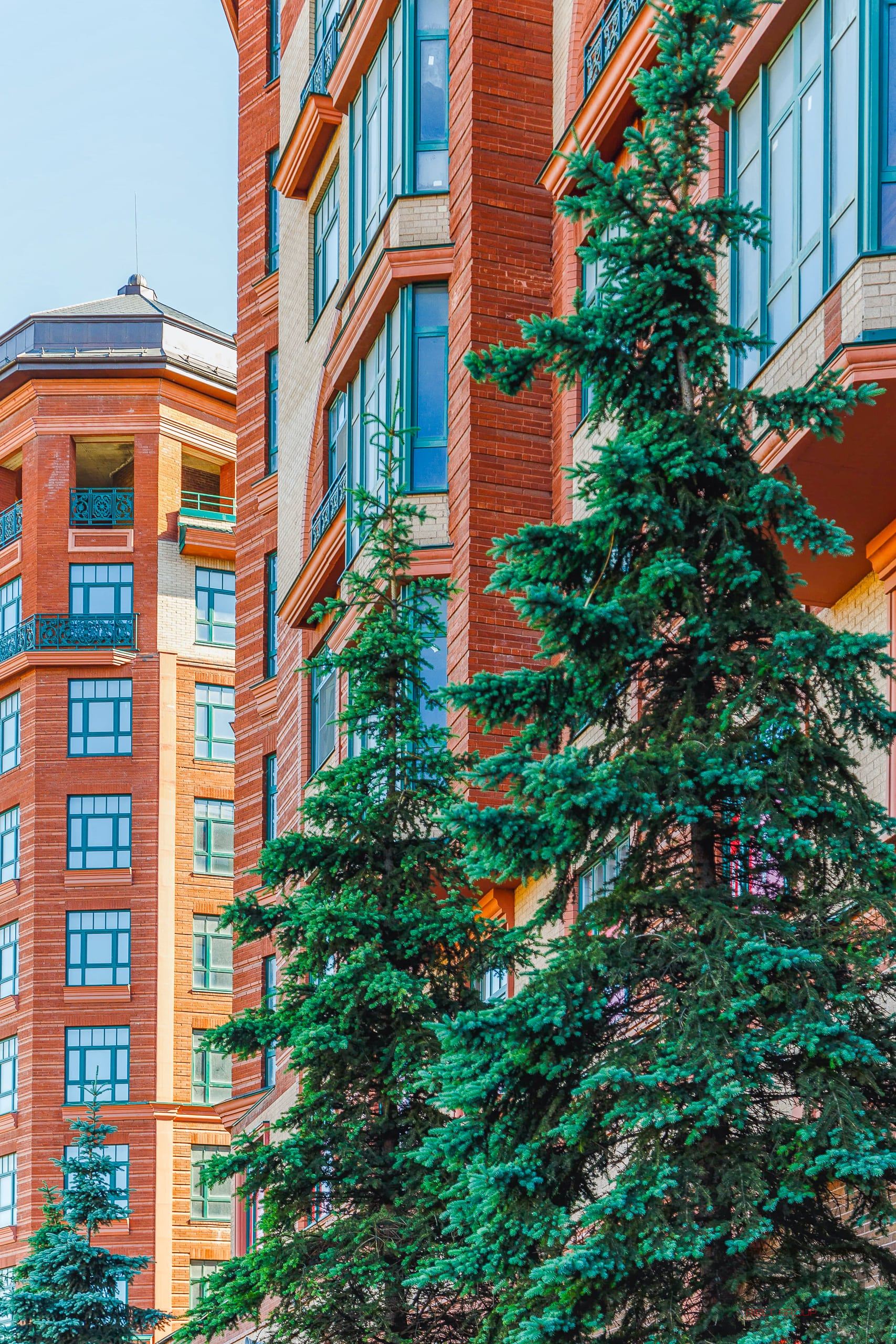 Васильевский квартал