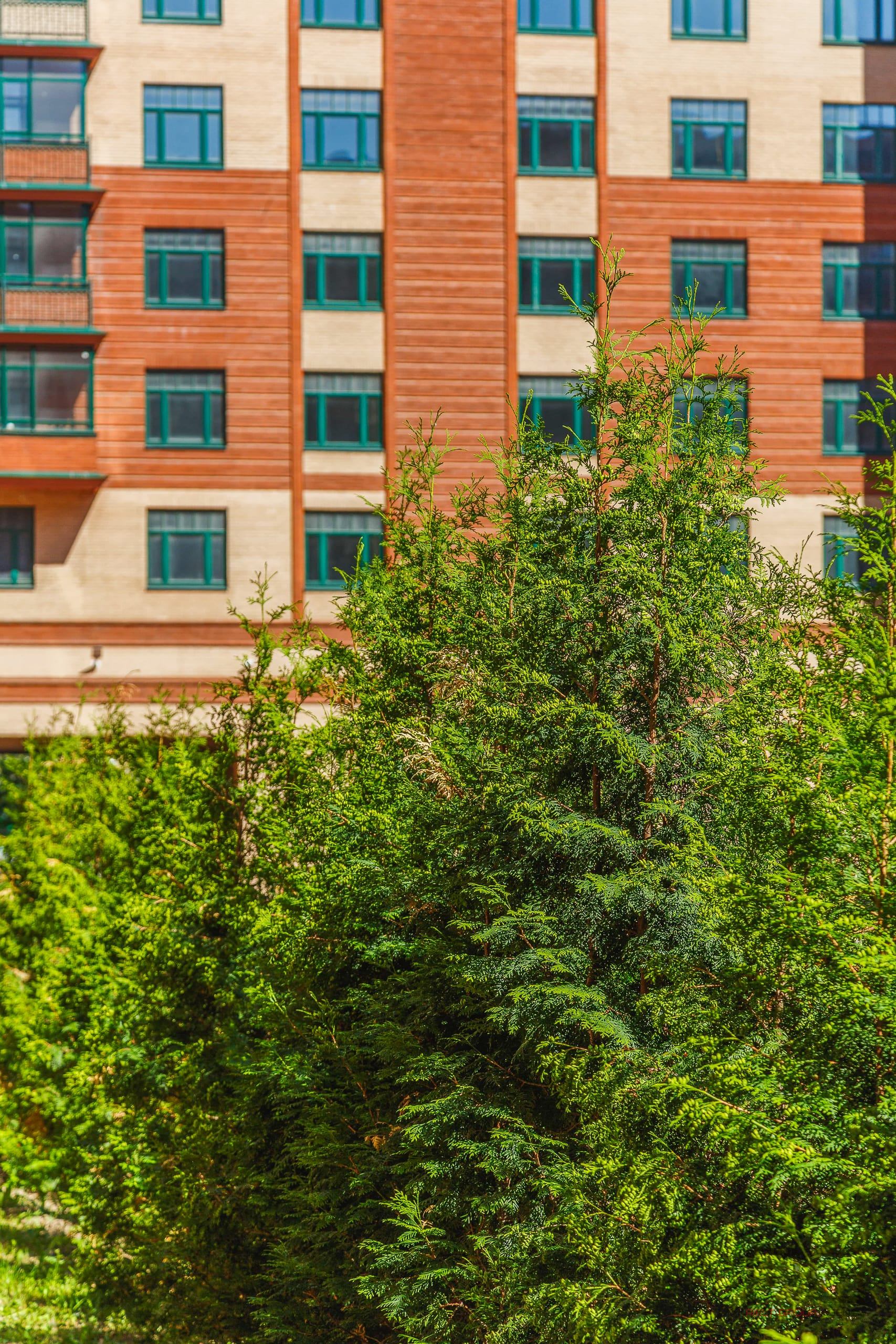 Васильевский квартал